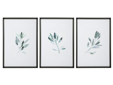 Simple Sage Framed Prints, S 3 Online Sale