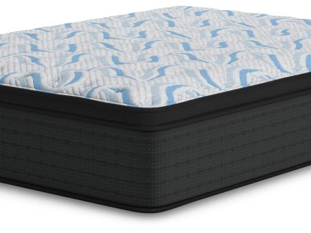 Ashley Homestore | Elite Springs Plush Queen Mattress For Cheap