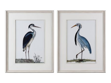 Shore Birds Framed Prints, S 2 Fashion